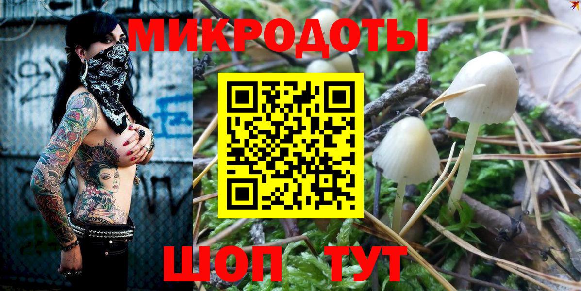 Галлюциногенные грибы Psilocybe Рязань