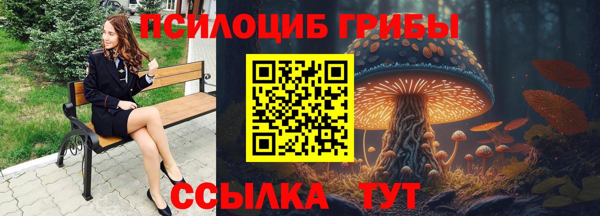 Рязань  купить  сайты  Вход с VPN  Псилоцибиновые грибы Psilocybine cubensis  Псилоцибиновые грибы мухоморы 